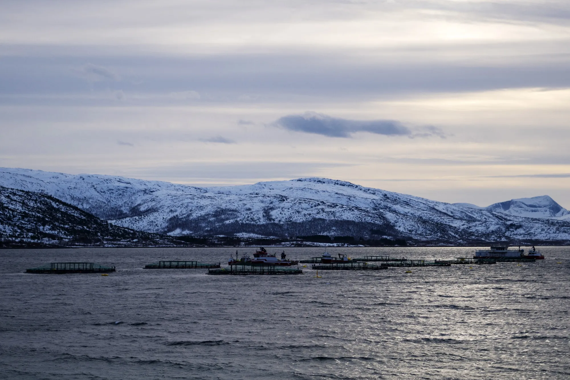 A salmon farm off the Lofoten Islands in Norway, on March 1.