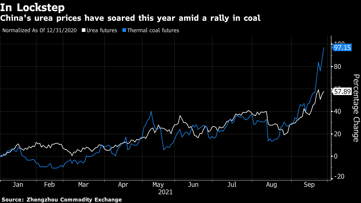 China's urea prices have soared this year amid a rally in coal