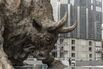 Hong Kong And Shenzhen Grapple Over China's Future