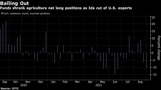 Funds Flee Bullish Crop Bets as Hurricane Ida Disrupts Exports