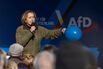 AfD Holds Berlin Rally On Eve Of Parliamentary Elections