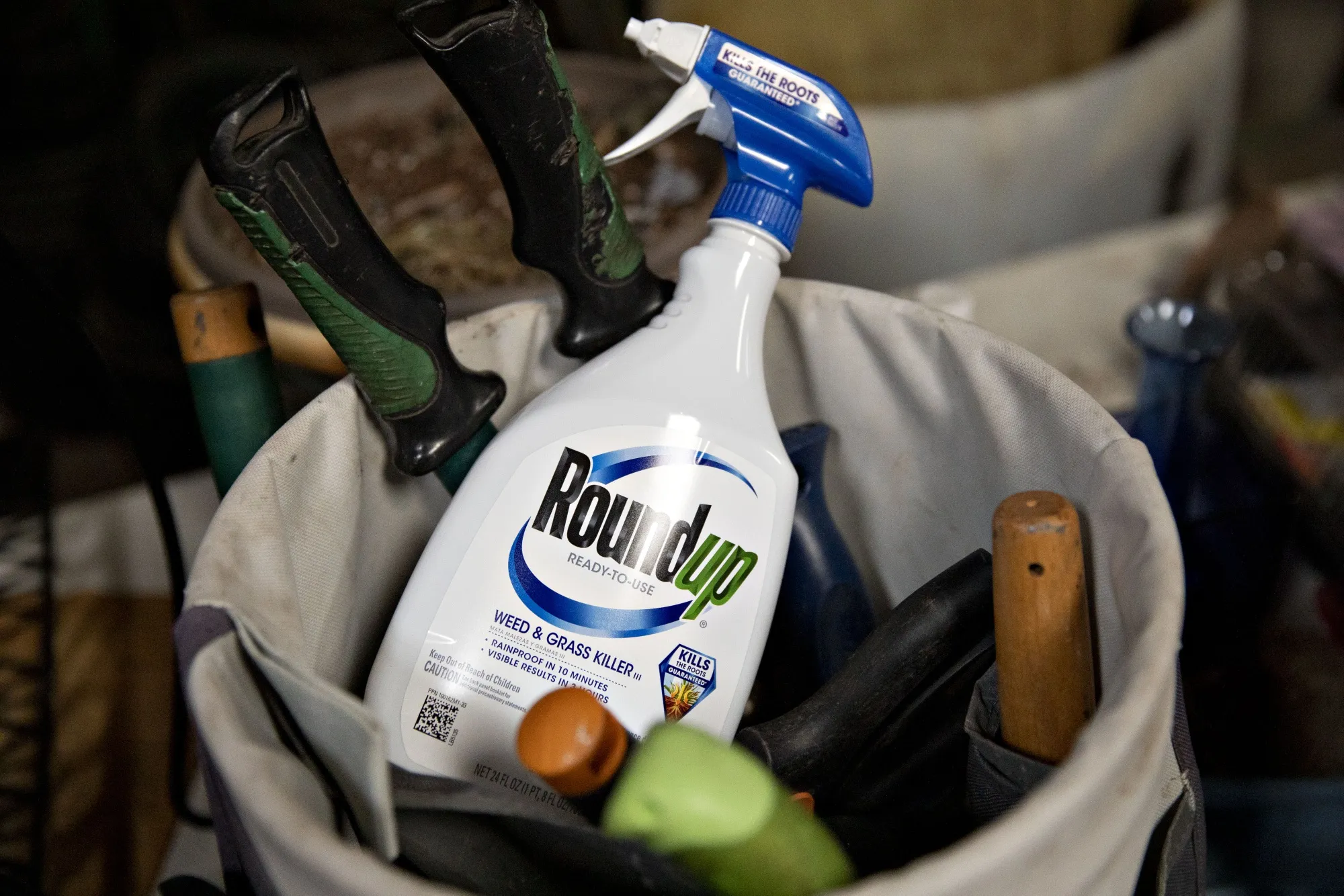 A bottle of Bayer Roundup brand weedkiller.
