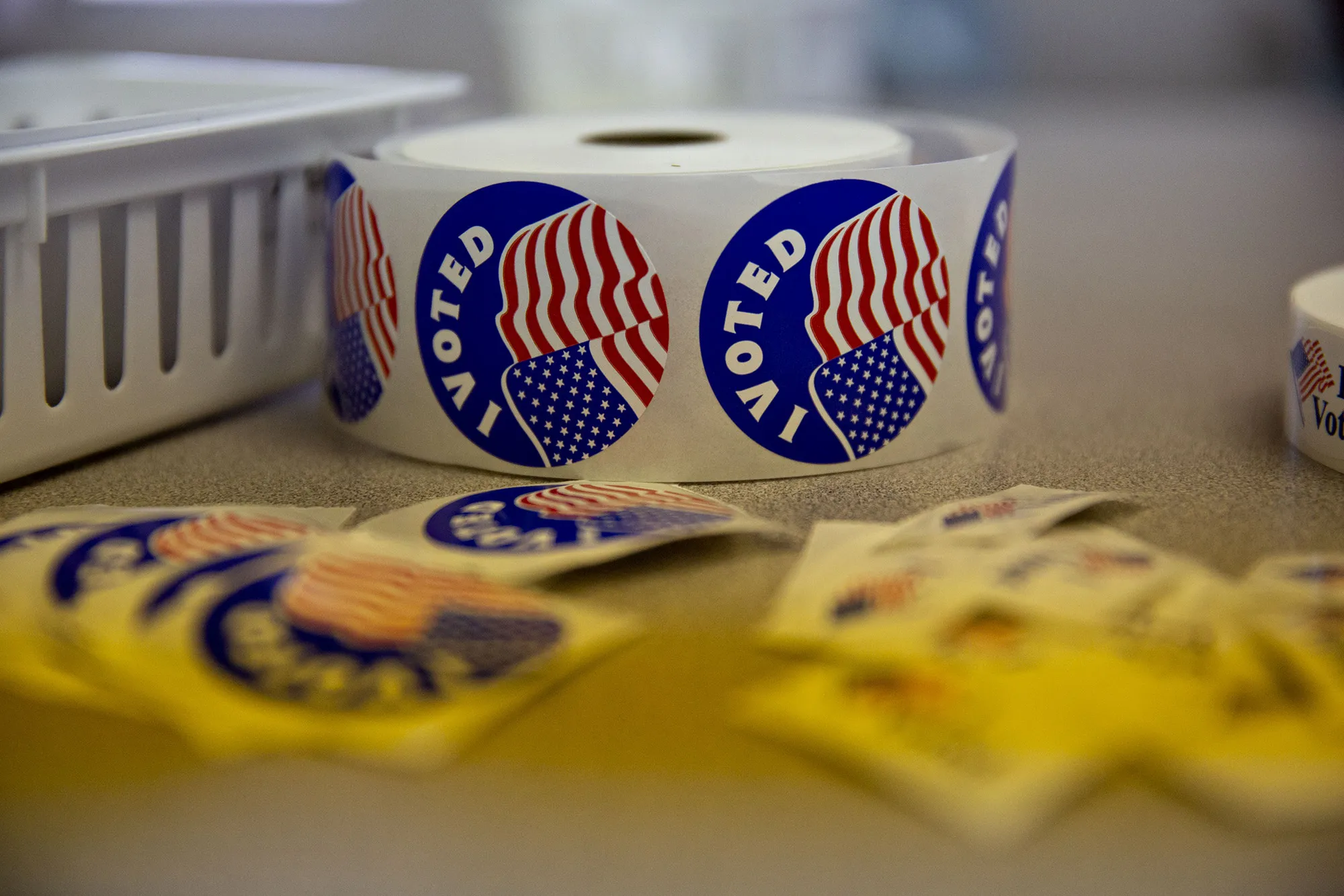 Voters Voting polling station