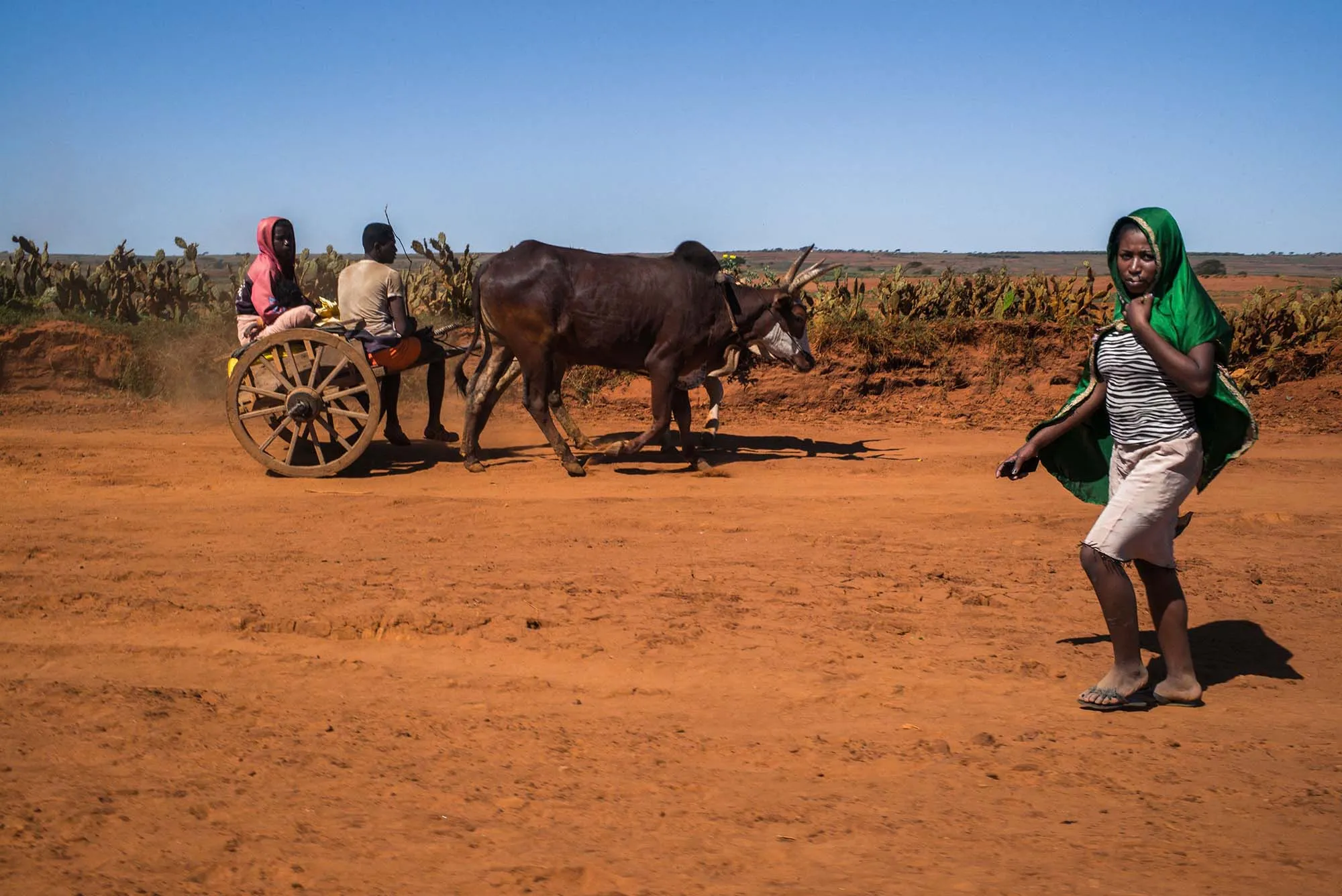 A&nbsp;road&nbsp;Amboasary Atsimo,&nbsp;Madagascar, on Sept.&nbsp;3.