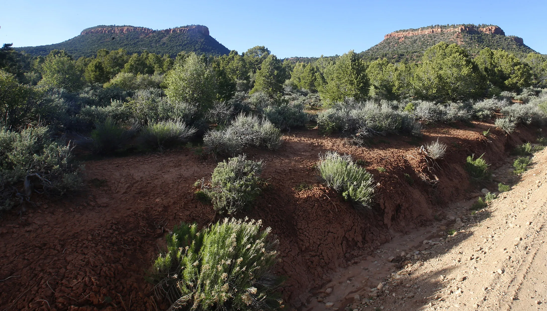 Bears Ears outside Blanding, Utah.