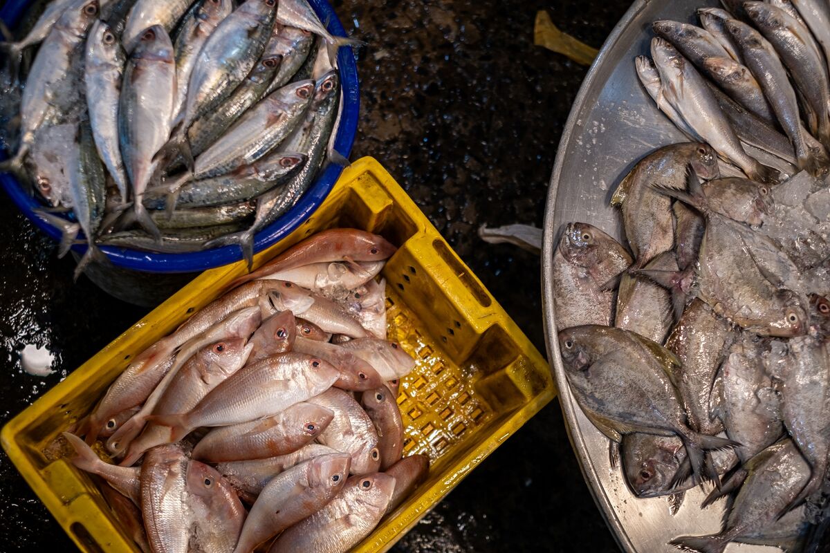 Global Food Roundup: Problems Tracing Fish and Seafood - Bloomberg
