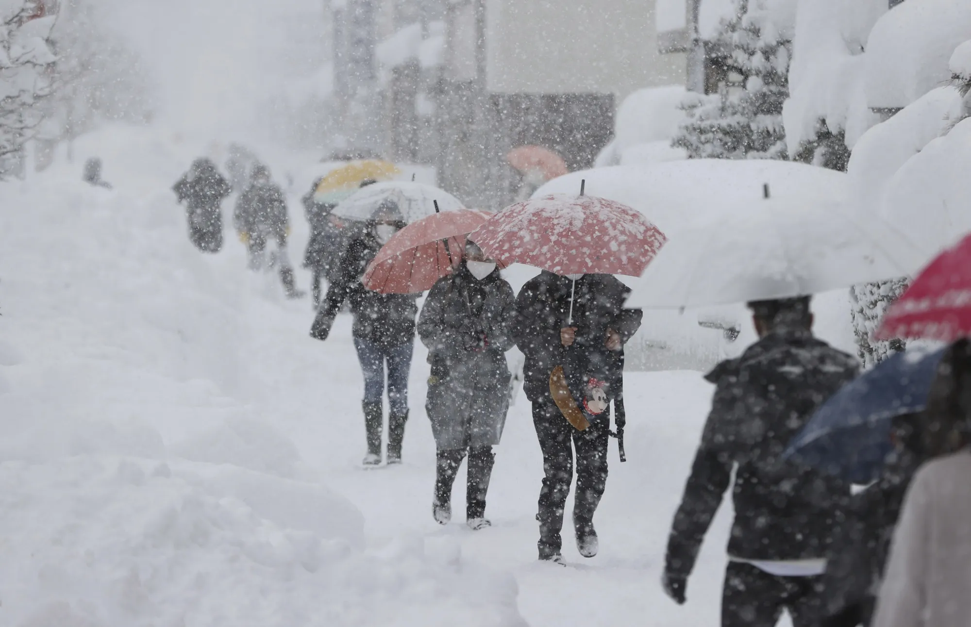 Heavy snow in Fukui on Jan. 9.