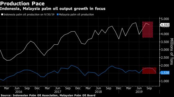 Palm Oil’s Changing Fortunes Signal Brighter Outlook in 2020