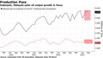 Indonesia, Malaysia palm oil output growth in focus