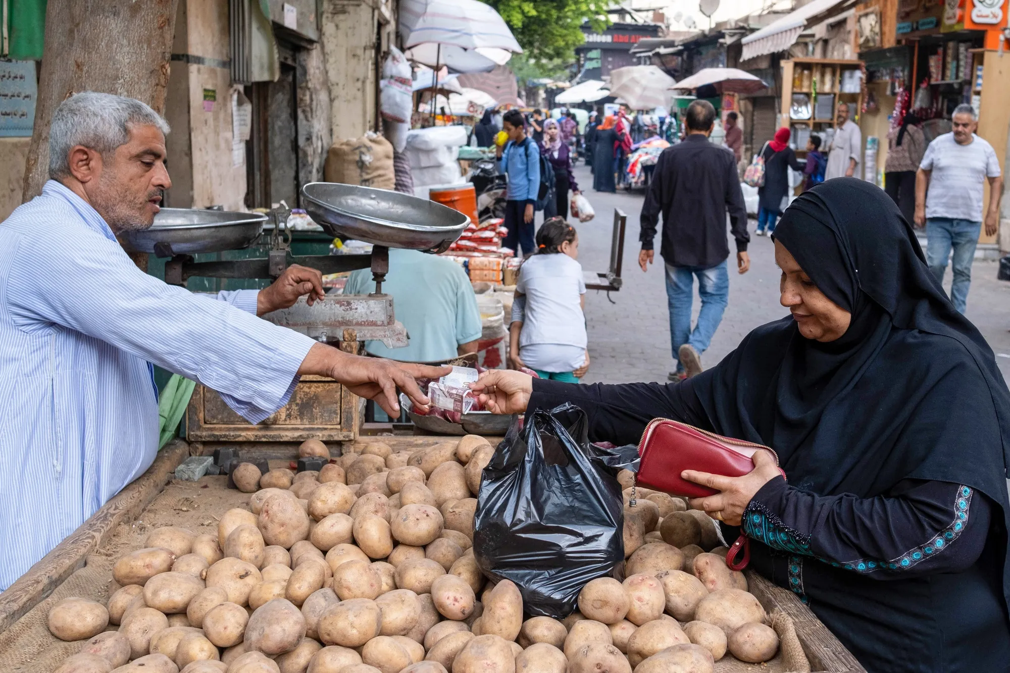 Egypt Holds Record-High Rate With Focus on Slowing Inflation - Bloomberg