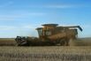 Canada's Canola Inventory Rises to Record as China Shuns Imports