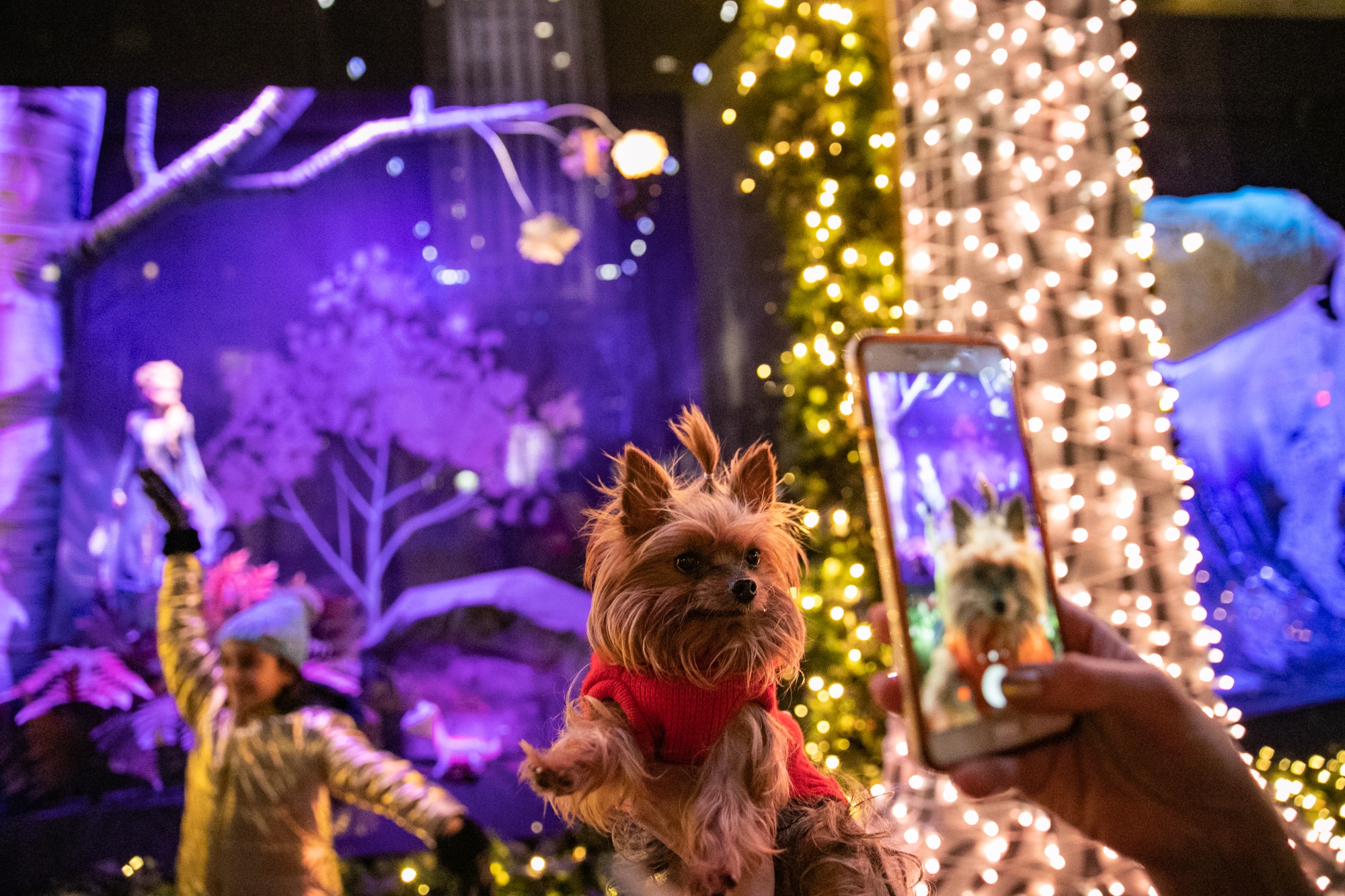 Saks Fifth Avenue Is Approaching Holiday Windows a Little Differently This  Year - Fashionista