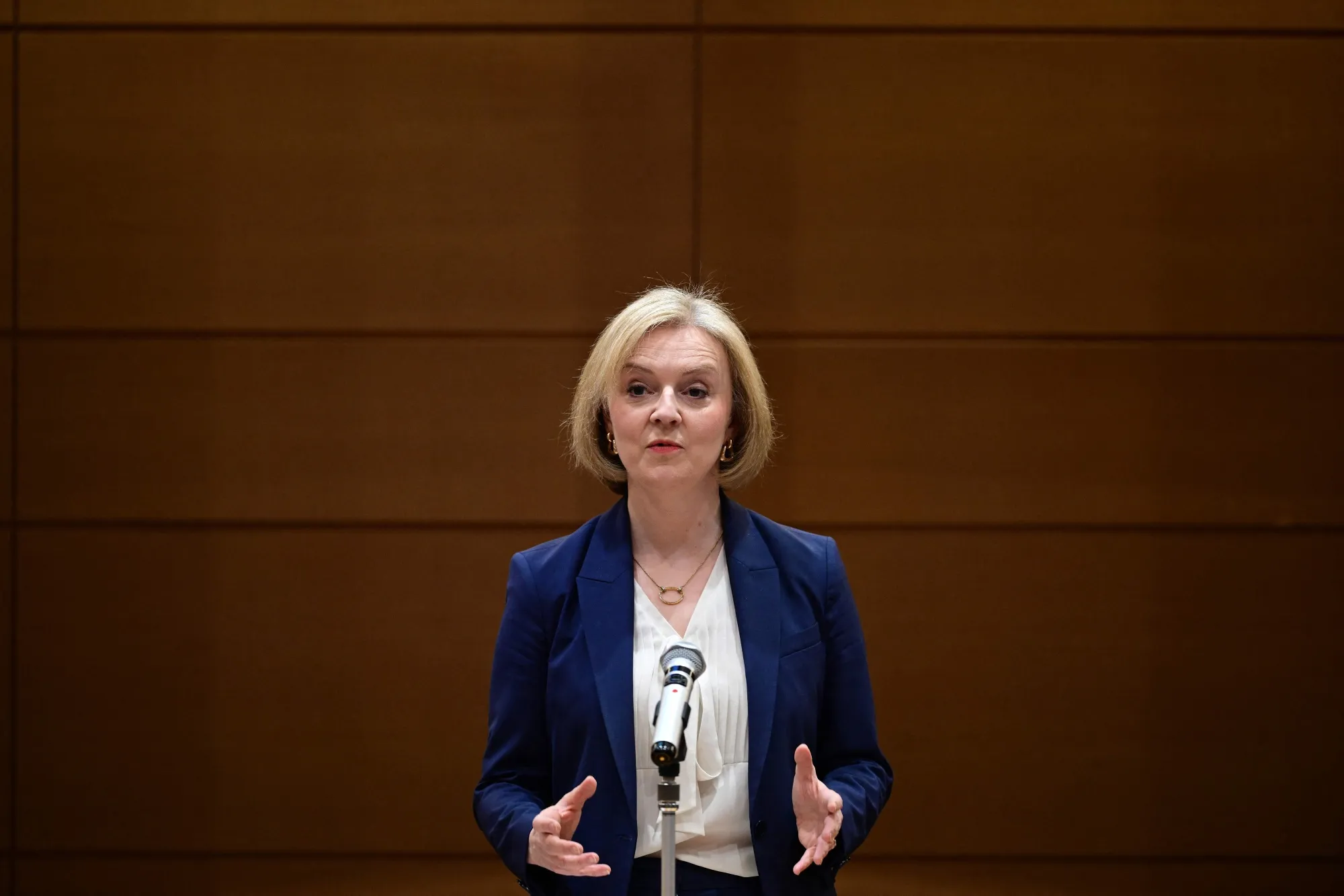 Liz Truss&nbsp;