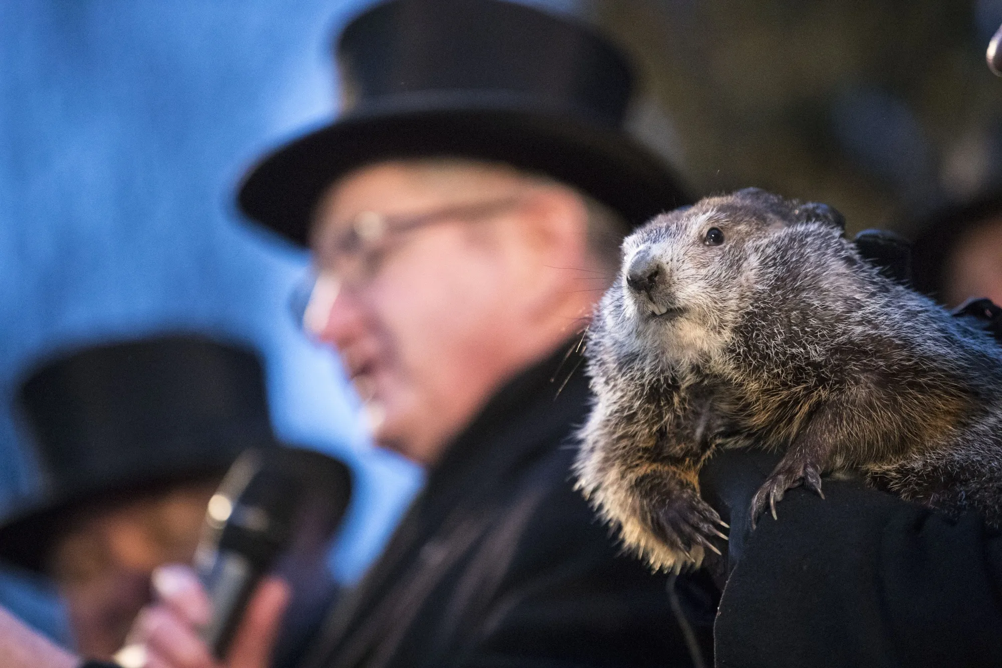 Groundhog Day ceremonies in Punxsutawney, Pennsylvania, in February 2018.
