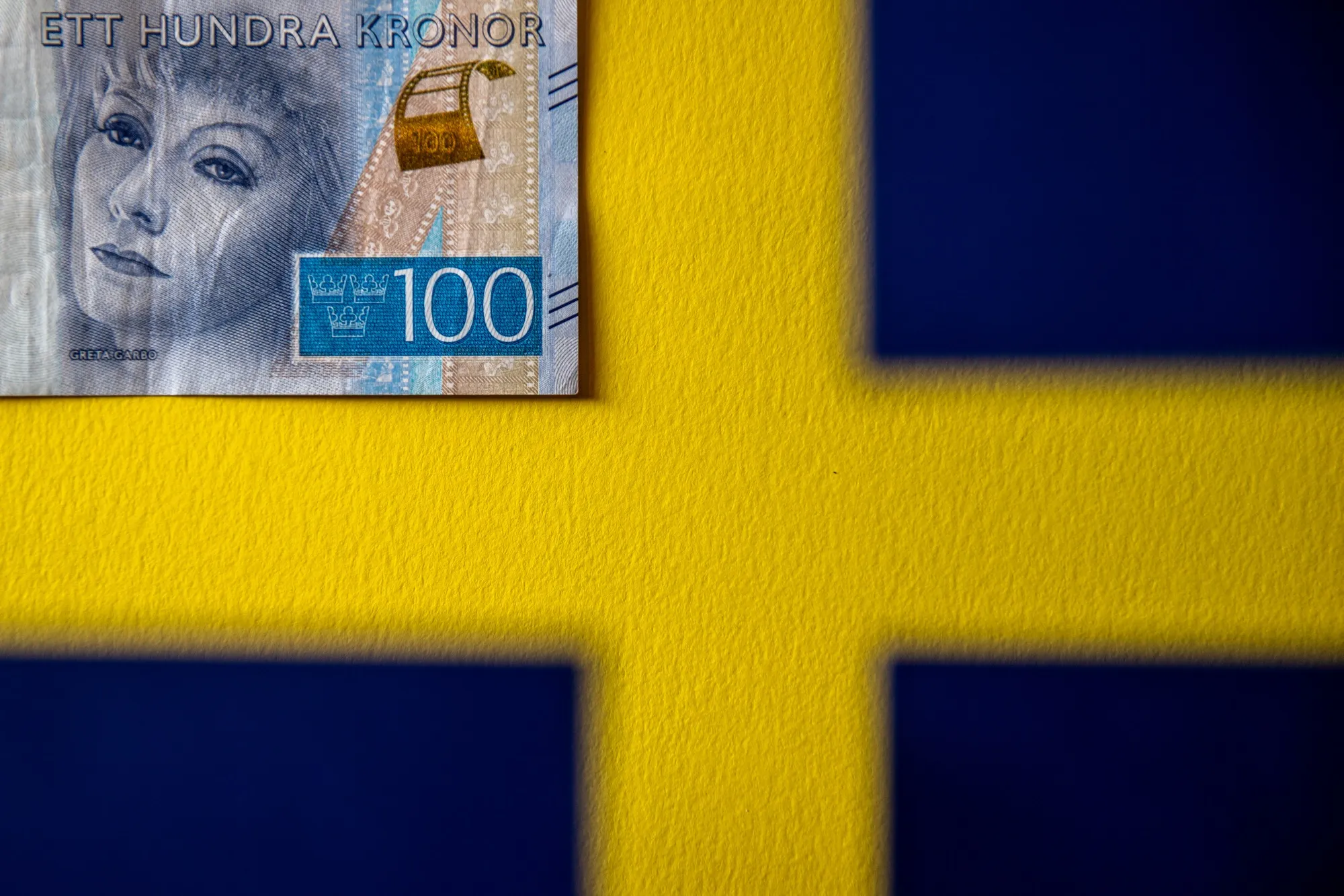 Swedish 100 Krona Banknote