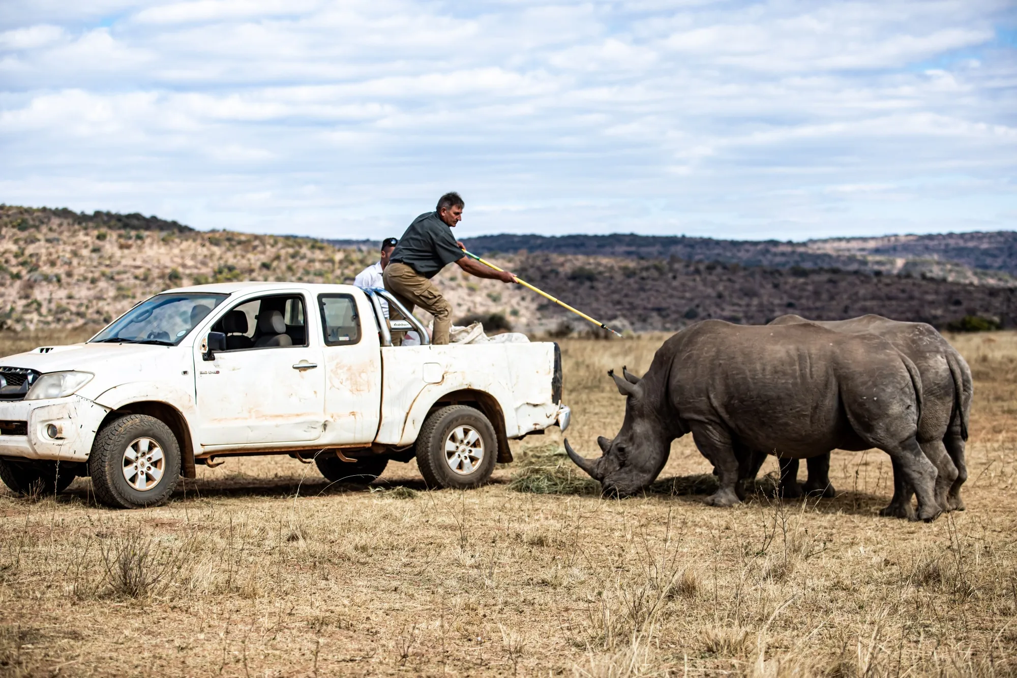 Pierre Bester tranquilizes a rhino in Mokopane, Limpopo, South Africa.