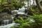 Cascades, firns, Scandanavian birch forest, Tysfjorden, Hellemobotn, northern Norway's deepest fjord, Norwgian Fjords, Norway
