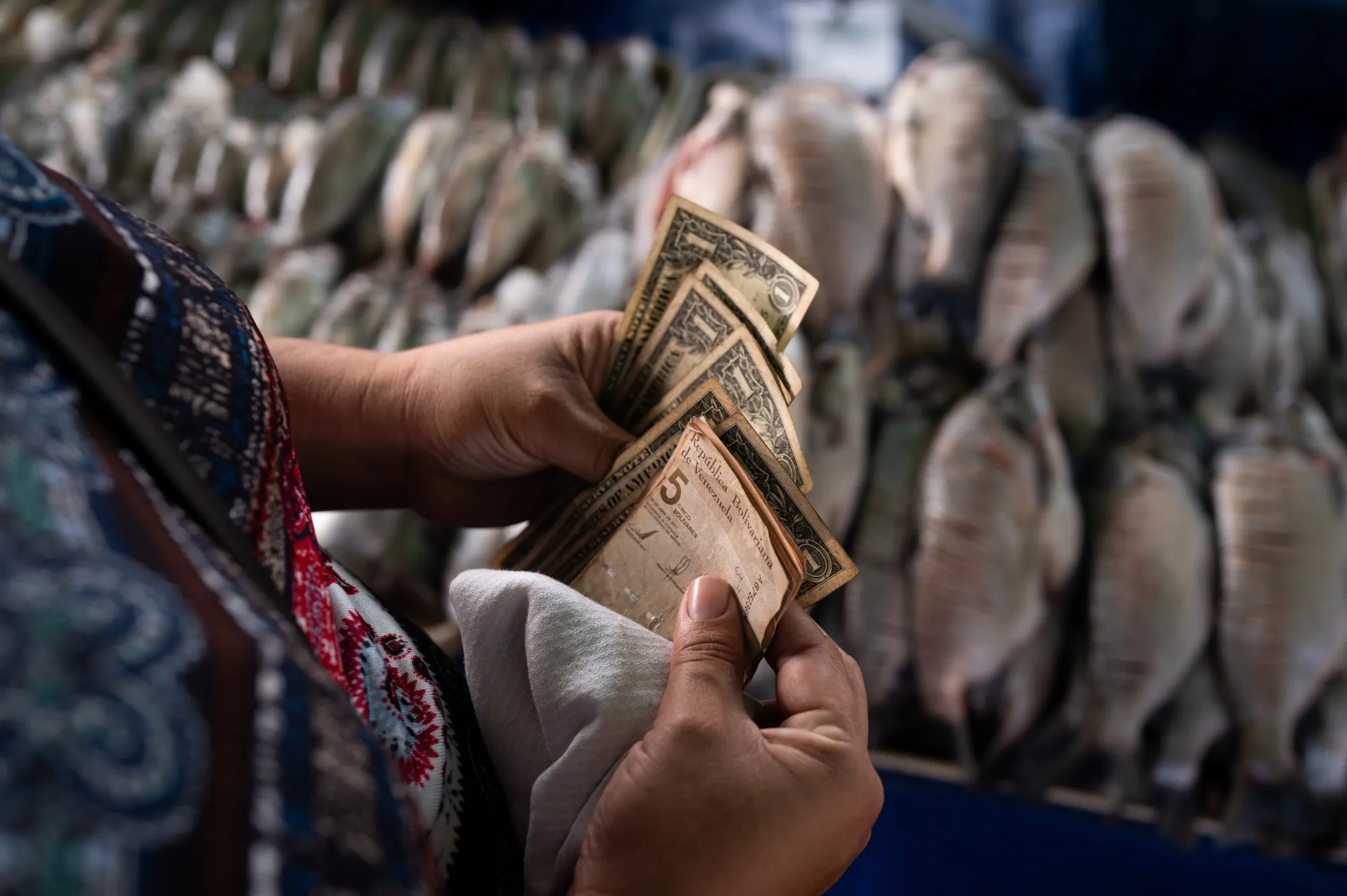 A woman counts dollar and bolivar banknotes at a market in Caracas on Aug. 20.