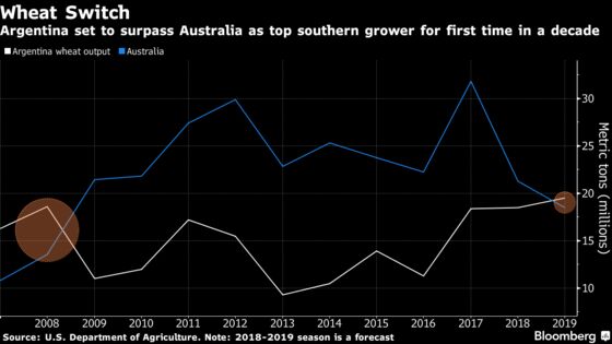 Wheat's Weather Worries Drag On, But Grain Bears Are Coming Back