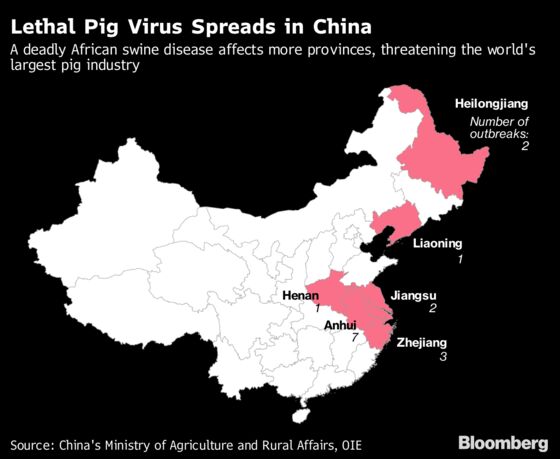 Tiny Pig Farms Complicating China's Fight Against Deadly Virus