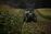 relates to U.S. Agriculture Chief Urges Farm Co-Ops to Toughen Cyber Defenses 