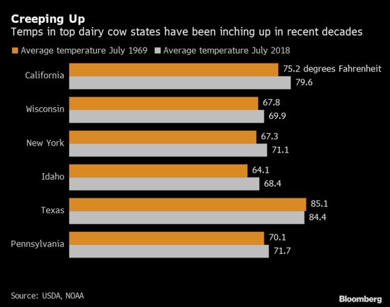 Global Warming Means Less Milk If Dairies Can’t Keep Cows Cool