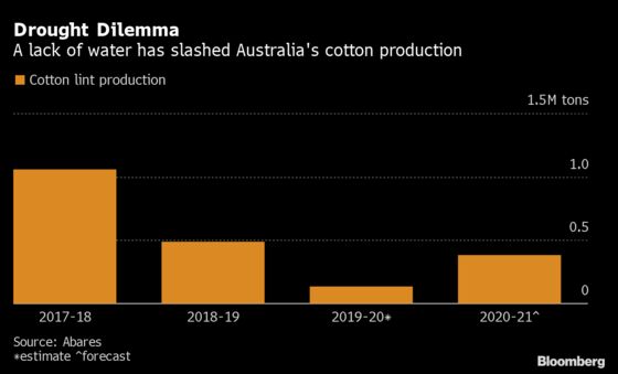 Cotton Growers in Australia Whacked Again as Chinese Buyer Shuts