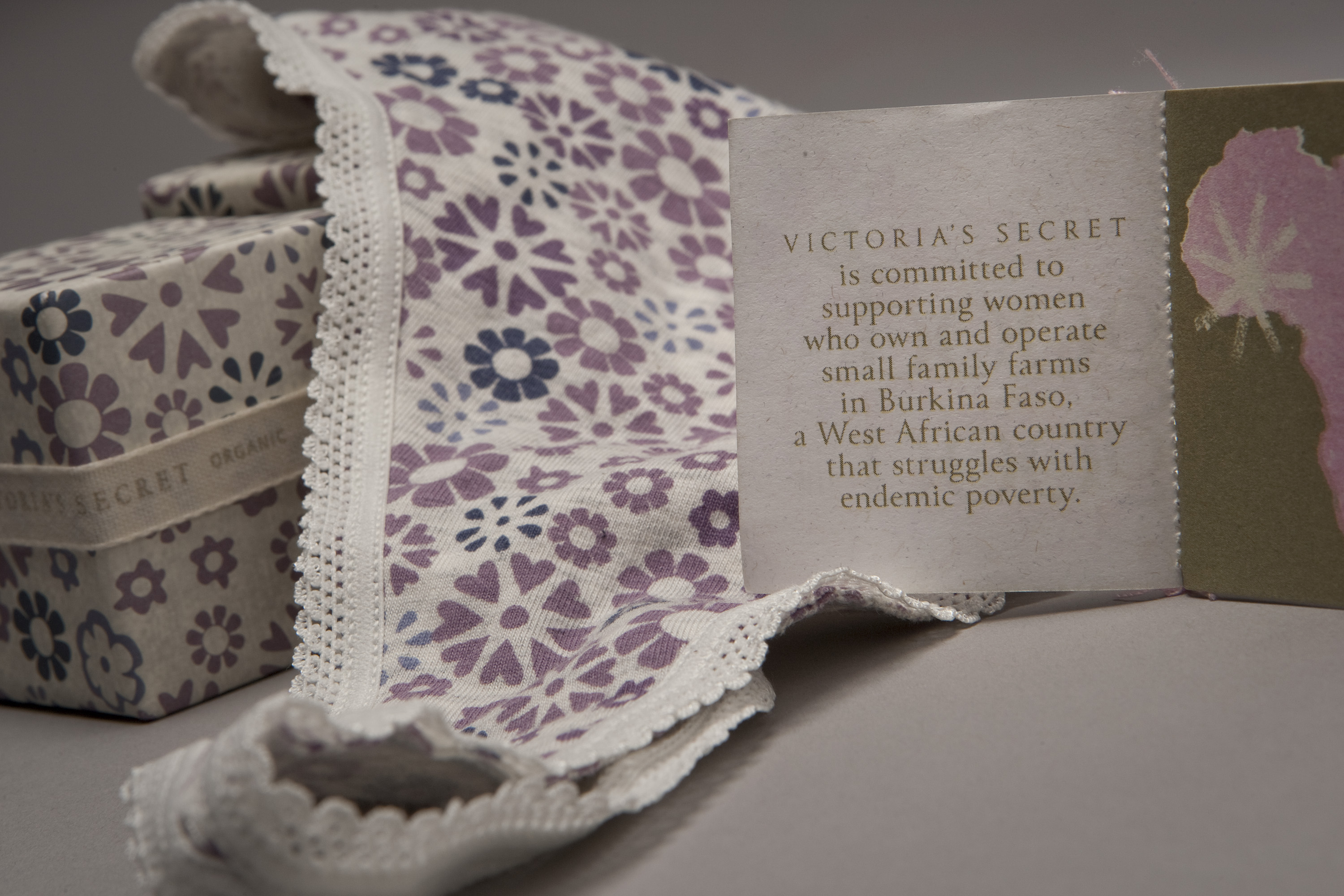 Victoria's Secret: Luxury underwear made from cotton picked by 'abused  child slaves