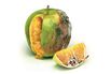 Why the Third Freakonomics Book Should Be the Last