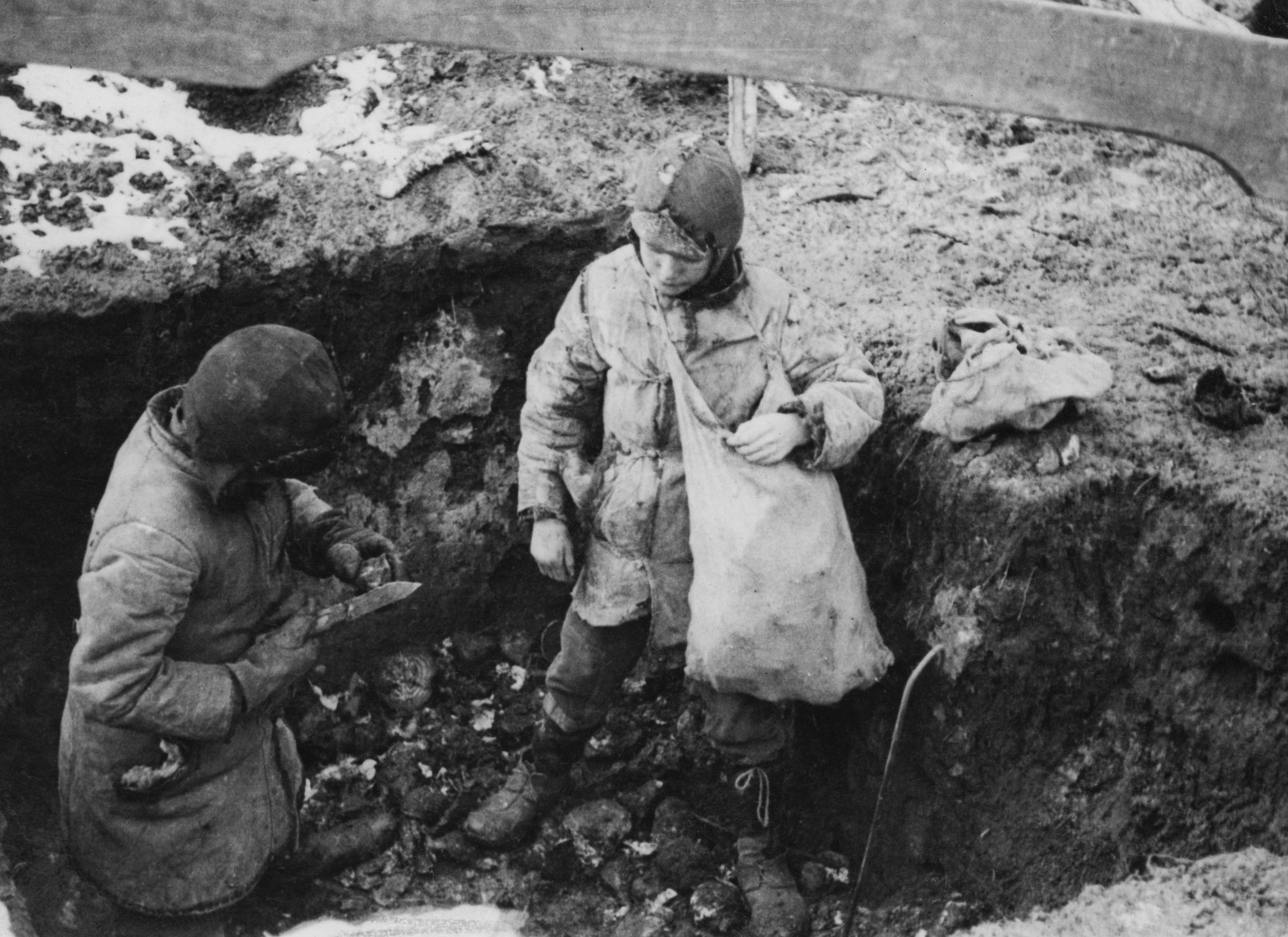 Understanding the Ukrainians in WWII. Part 2. Stories of