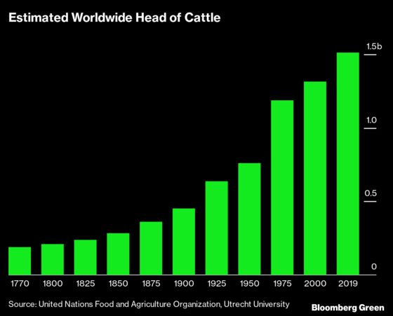 Beef Industry Tries to Erase Its Emissions With Fuzzy Methane Math