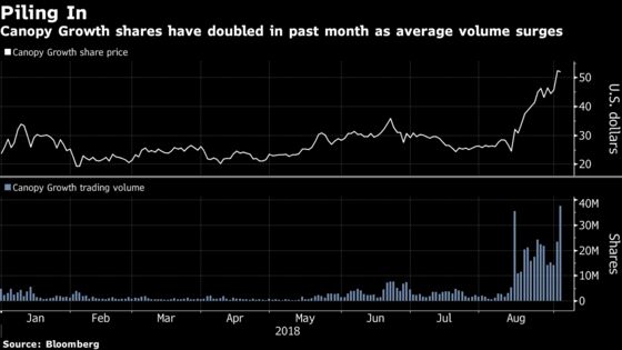 Pot-Stock Frenzy Stokes Canopy Growth Shares, Options Volume