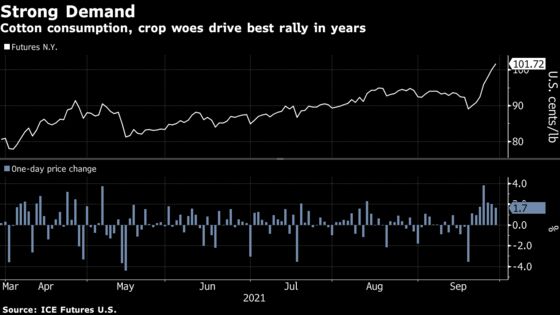 Cotton Has Best Quarter in 10 Years as China Snaps Up U.S. Fiber