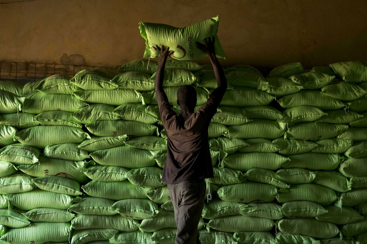How to Help Africa Feed Itself Bloomberg