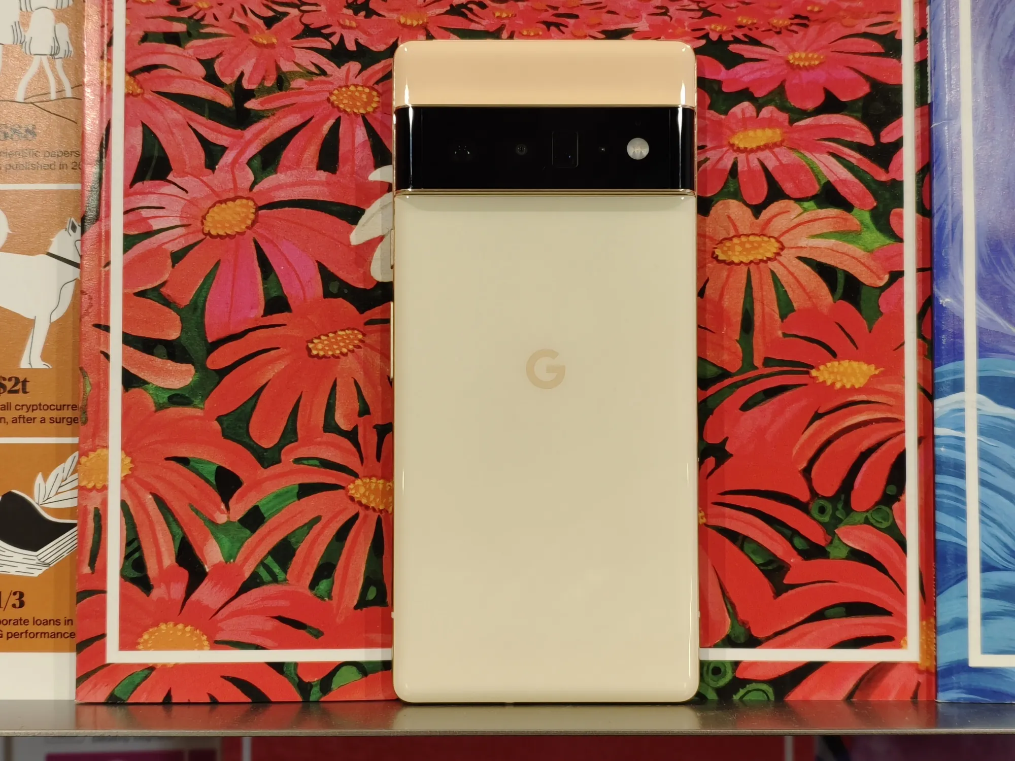 Google’s Pixel 6 Pro.