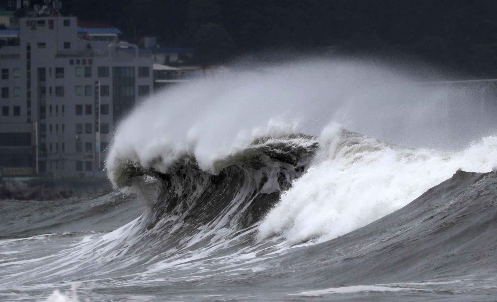 Typhoon Batters S. Korea, Preparations Minimize Casualties Bloomberg