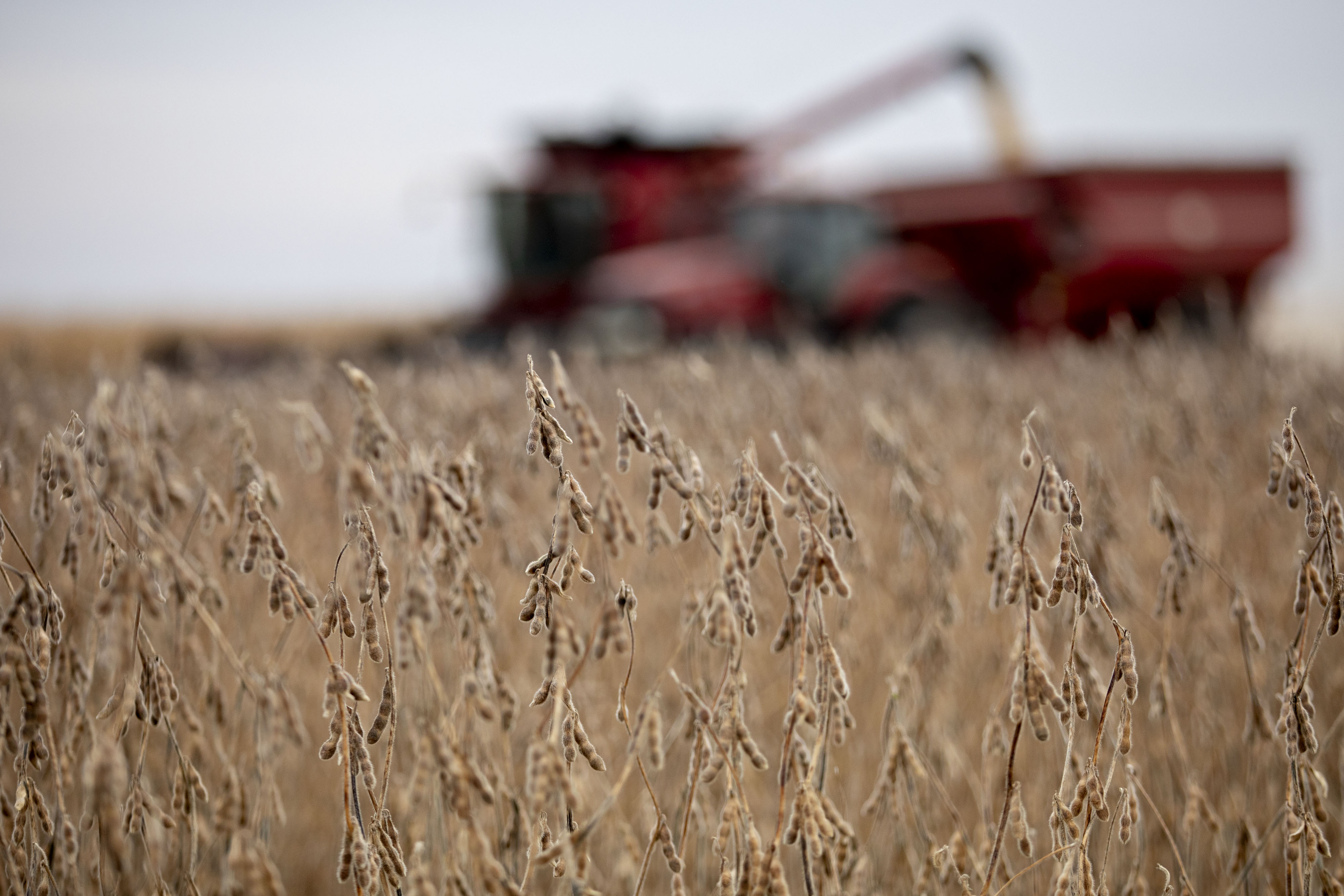 U.S. Agricultural Trade Surplus Shrinks to Smallest Since 2006 Bloomberg