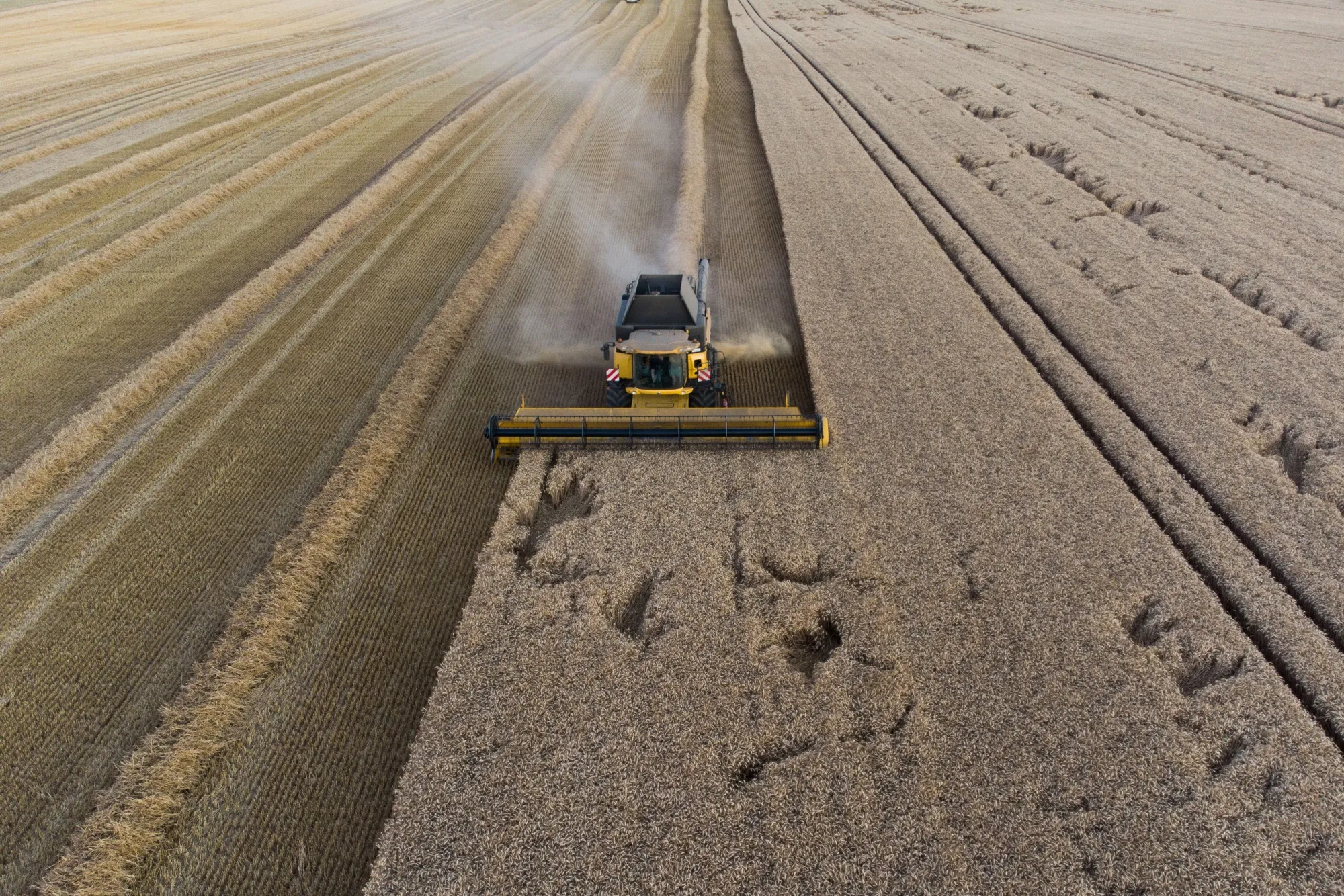 A combine harvester cuts through a field of wheat during the summer harvest in Heudicourt, France.