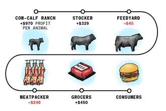 cattle price viz hp promo