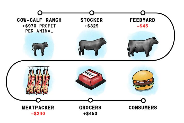 cattle price viz hp promo