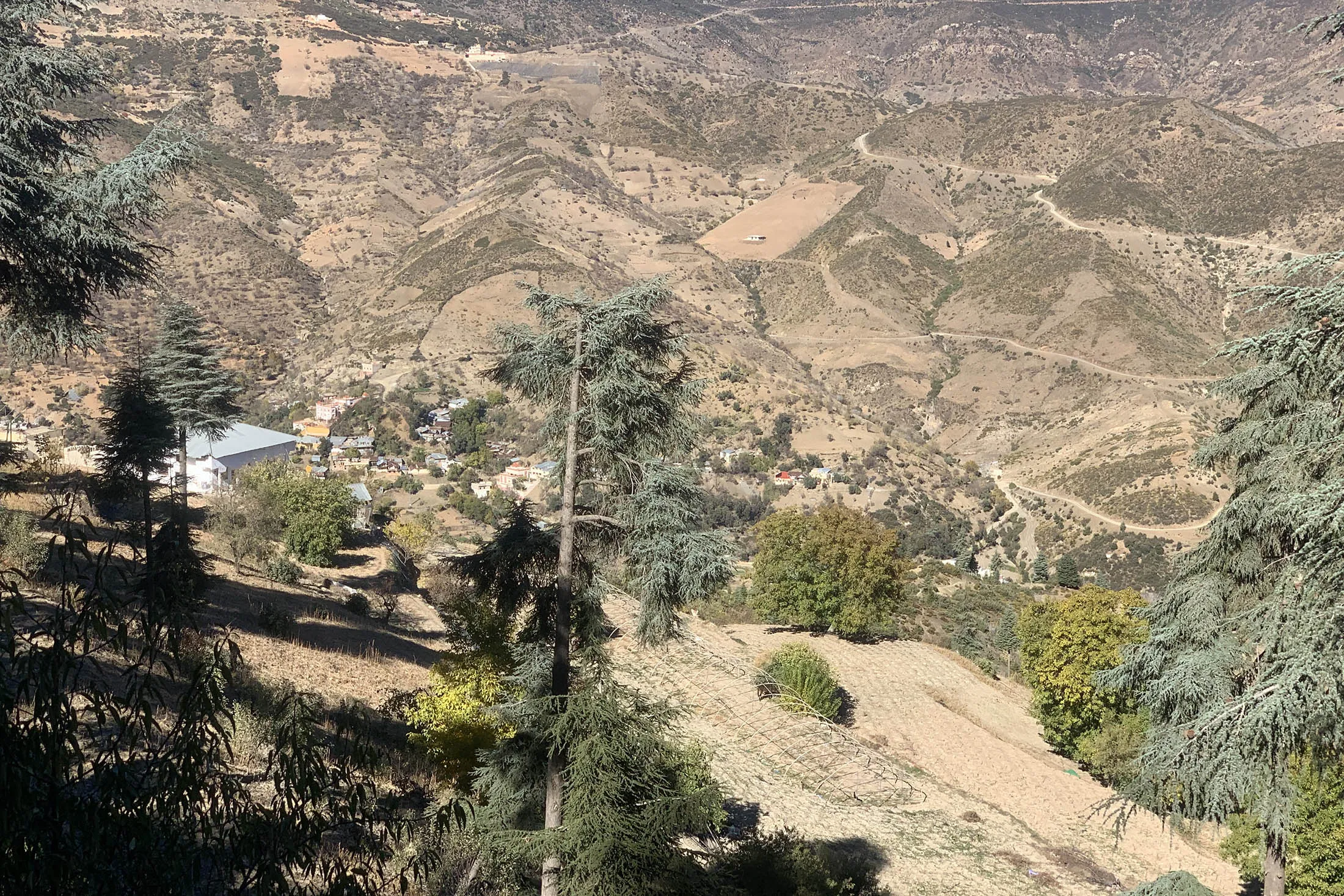 Morocco’s first growing season began in June after legal cultivation was authorized to a group of farmers and companies for medical and industrial use.