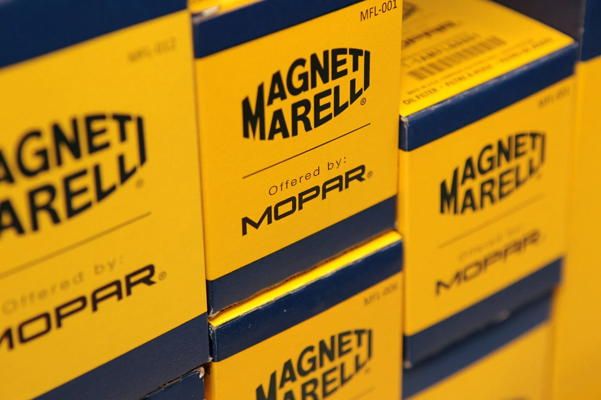 A U.S. buyout giant has agreed to pay an astonishing price for a car business.