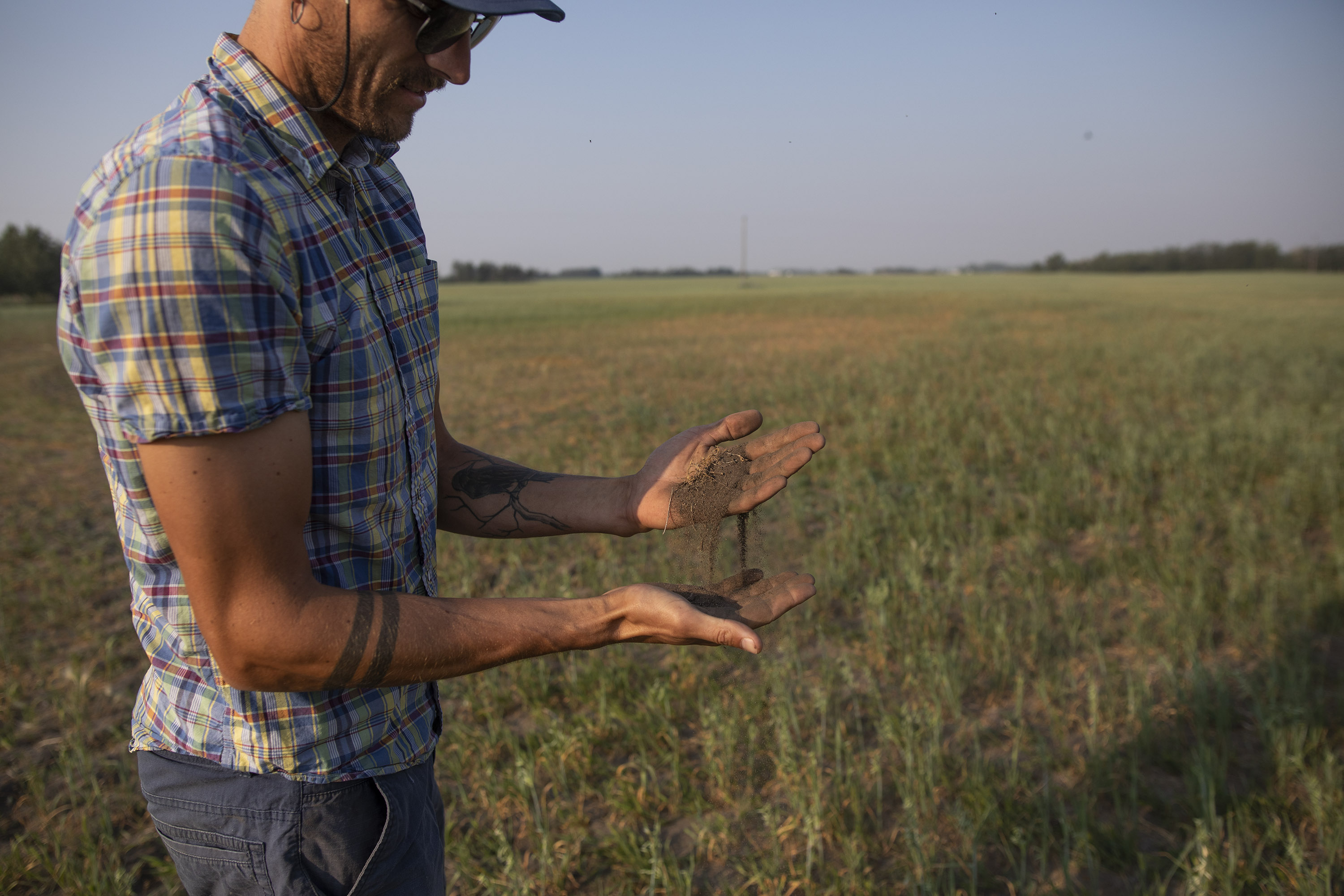 A farmer lets a mixture of dry soil and sand fall through his fingers beside an oat crop that has been stricken by drought on a grain farm near Osler, Saskatchewan, Canada, on&nbsp;July 13.