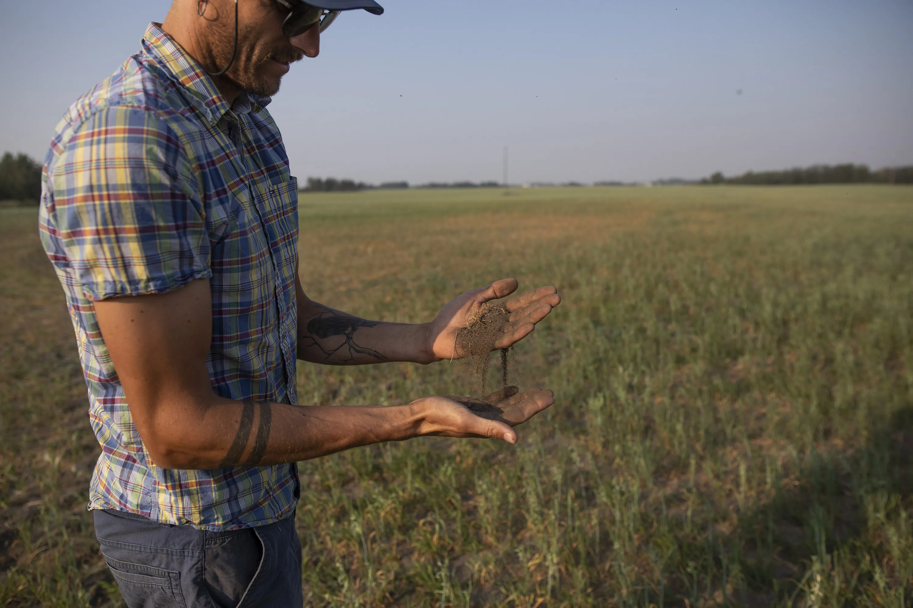 A farmer lets a mixture of dry soil and sand fall through his fingers beside an oat crop that has been stricken by drought on a grain farm near Osler, Saskatchewan, Canada, on&nbsp;July 13.