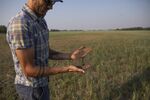 A farmer lets a mixture of dry soil and sand fall through his fingers beside an oat crop that has been stricken by drought on a grain farm near Osler, Saskatchewan, Canada, on&nbsp;July 13.