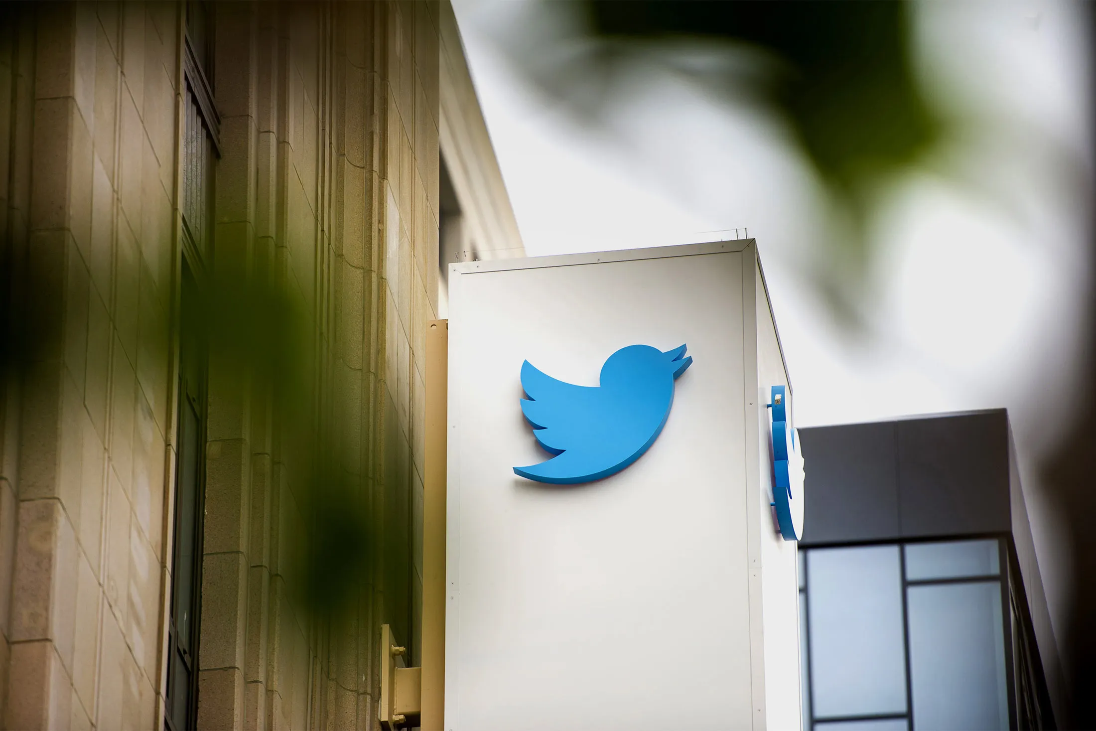 Twitter Lede