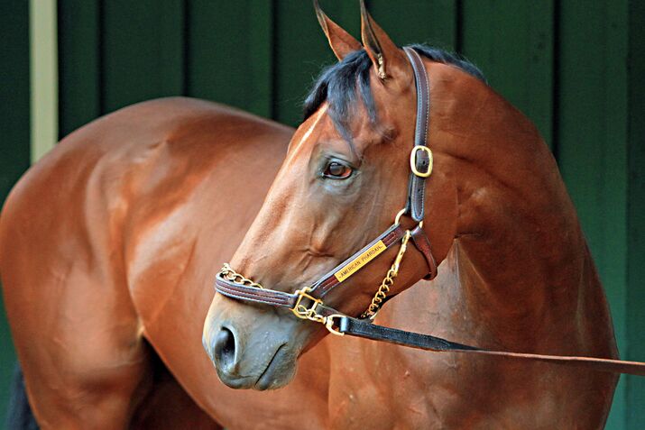 American Pharoah