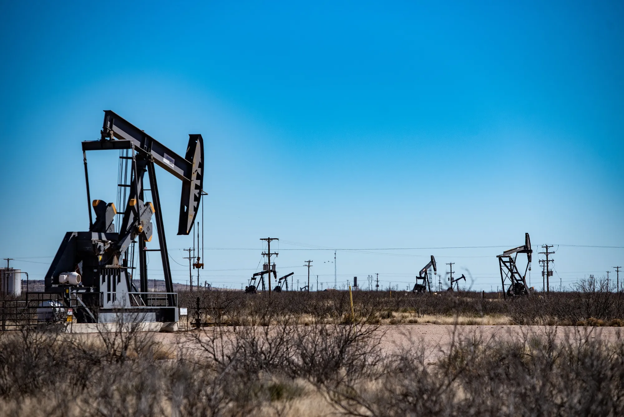 Oil pumpjacks outside Odessa, Texas. Sergio Flores/Bloomberg