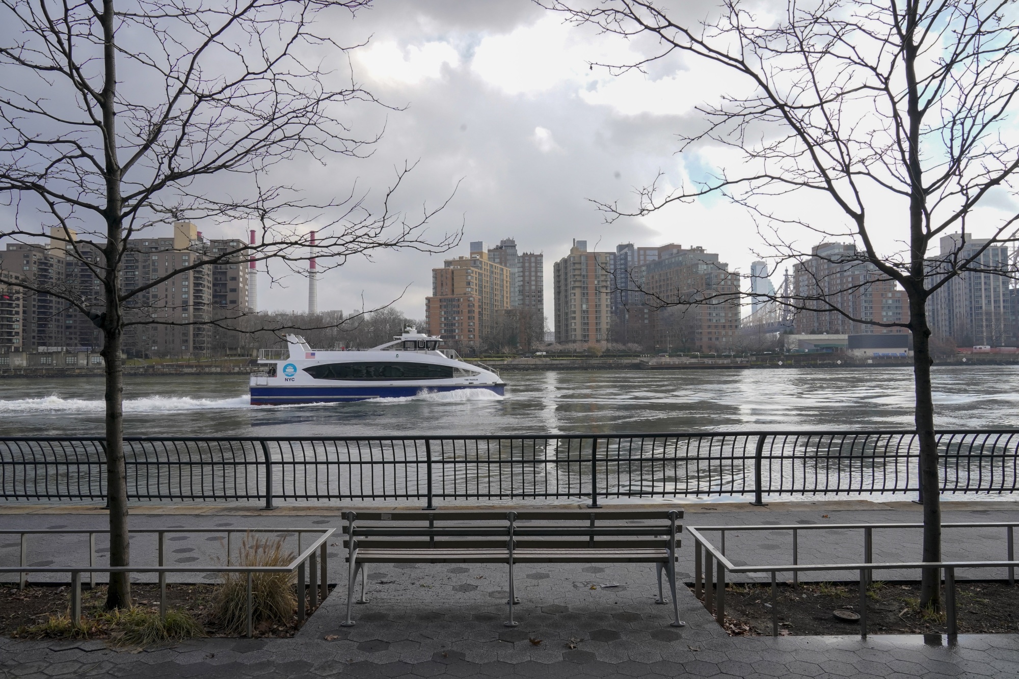 Mammoth Bones in East River New York Natural History News Bloomberg