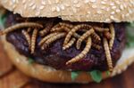 You don’t have to try this yet, but insects should play a bigger role in your diet at least indirectly.
